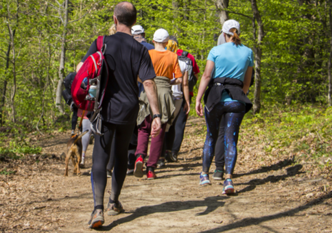 Group of walkers on a woodland trail