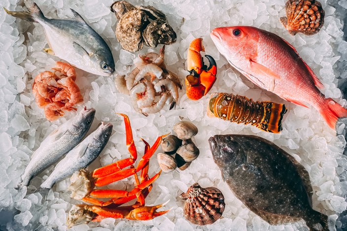 Various types of fish and seafood on a bed of ice