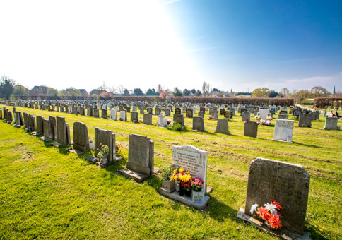 Rows of gravestones in cemetery
