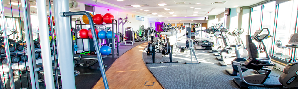Well-equipped gym with cardio and weight machines and other equipment