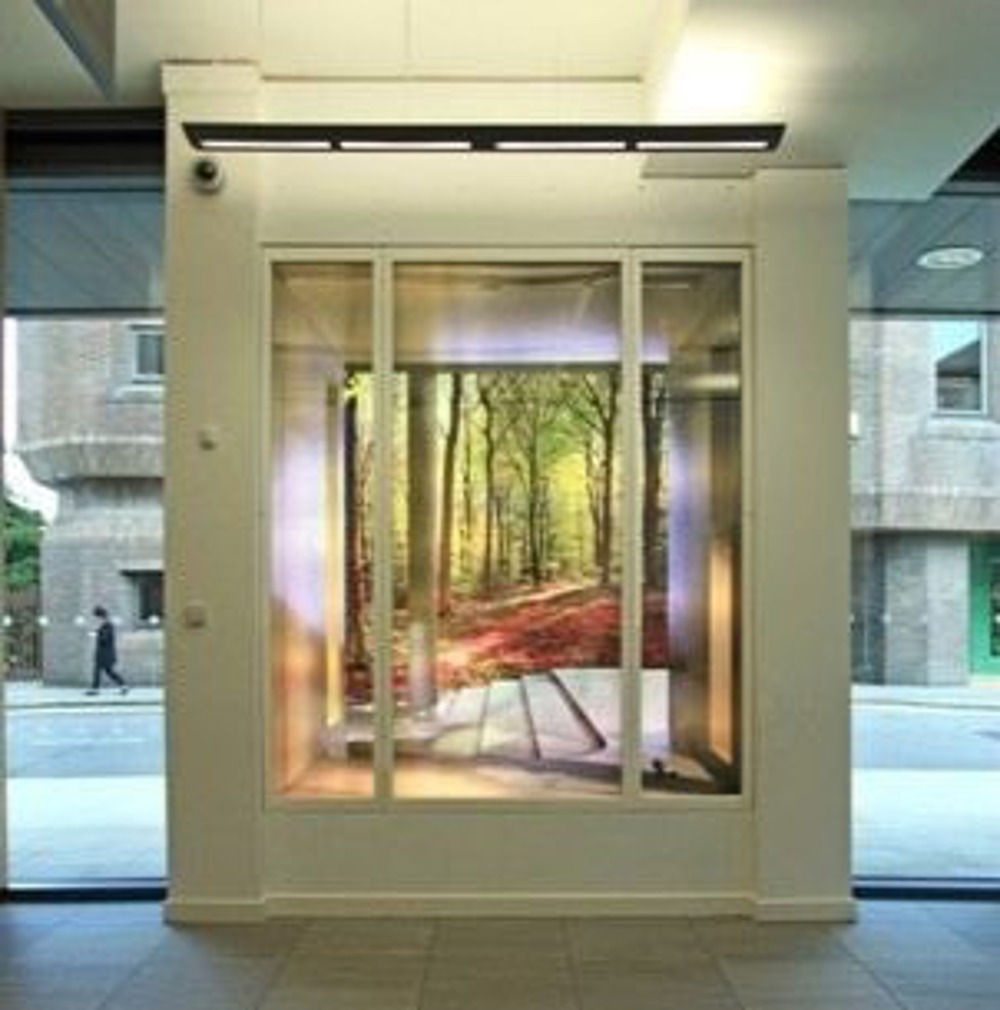Lightbox consisting of an illusory architecturally framed inlet into a woodland scene