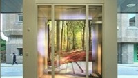 Lighbox consisting of an illusory architecturally framed inlet into a woodland scene preview