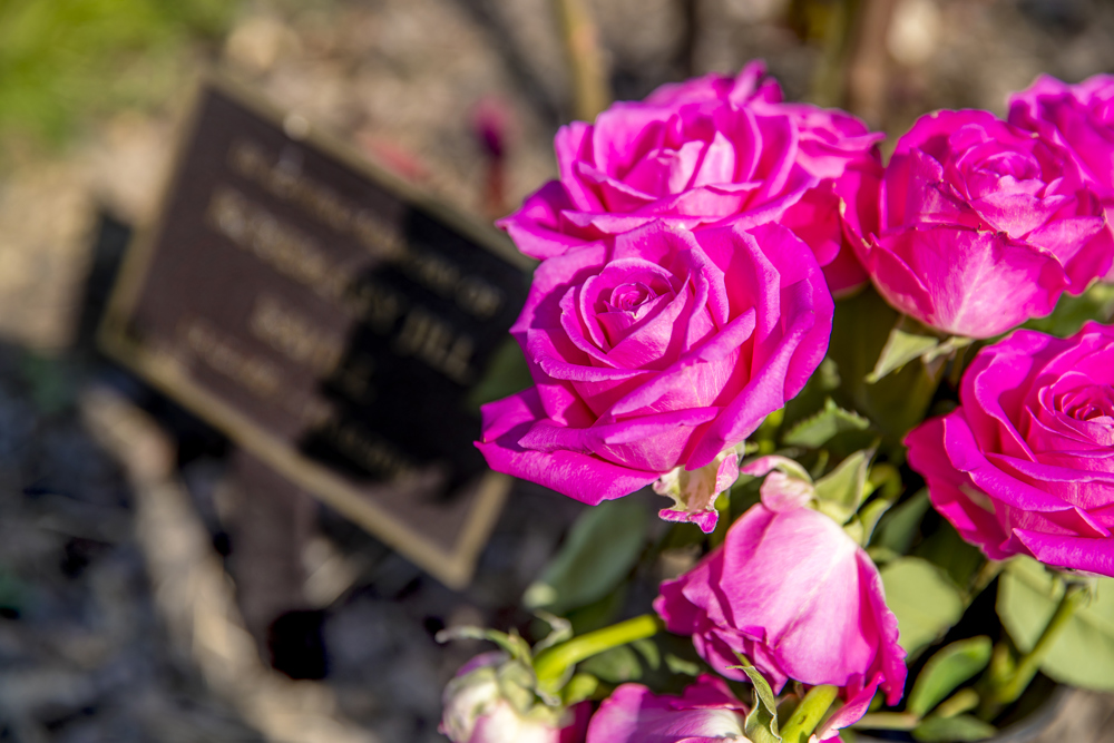 Small plaque with bunch of pink roses beside it