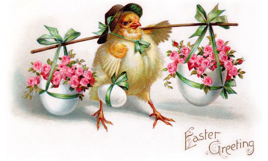 A vintage drawing of a chick in a hat carrying flowers in egg shells.
