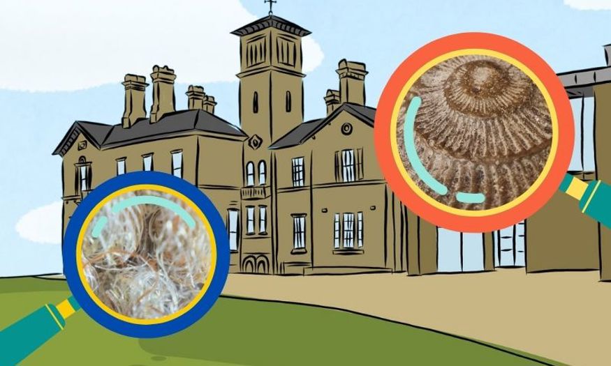 An illustration of Chelmsford Museum with magnifying glasses looking at close up textures.