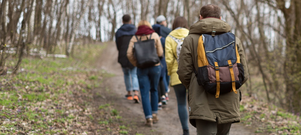 Group of people walking along woodland trail