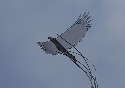 Eagle sculpture made from stainless steel mesh and outline