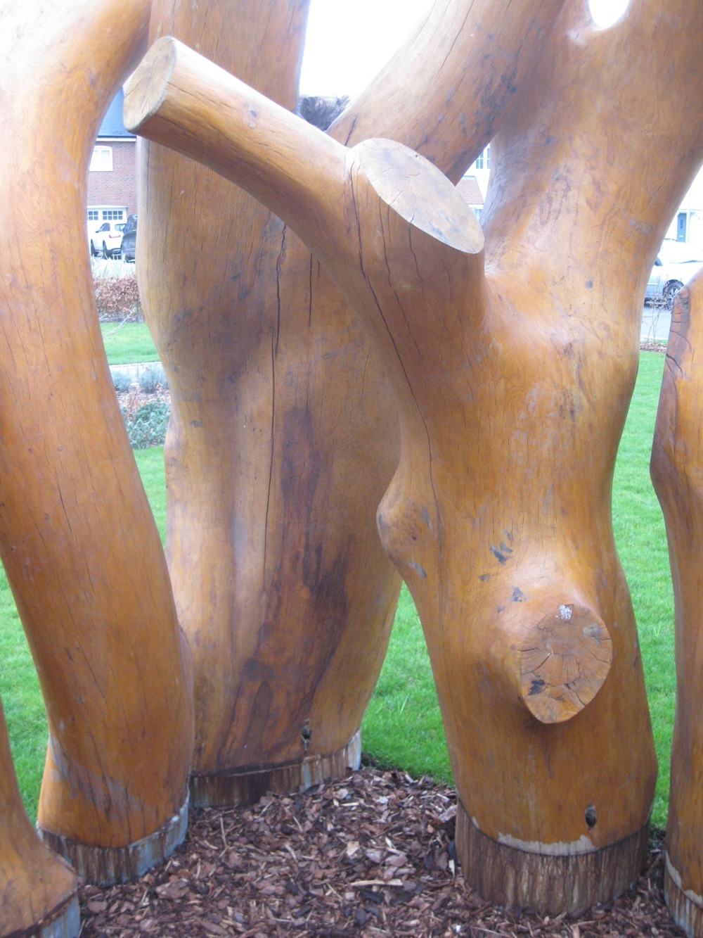 Timber sculpture of a thicket
