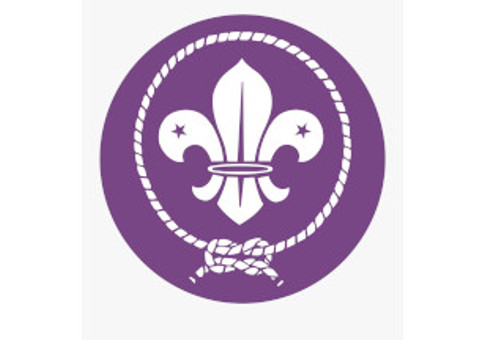 Scouts logo