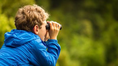 A young boy wearing a bright blue jacket looks through binoculars off into the trees in the distance. 